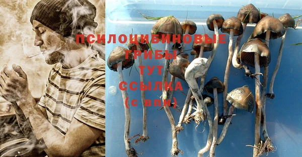 круглые Богданович