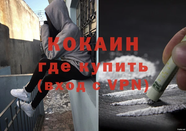 шишки Нея