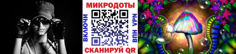 Псилоцибиновые грибы Psilocybine cubensis  Ковылкино 
